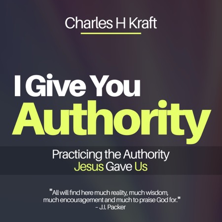 I Give You Authority audiobook cover