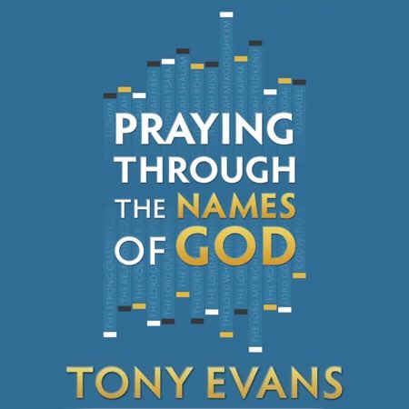 Praying Through the Names of God audiobook cover