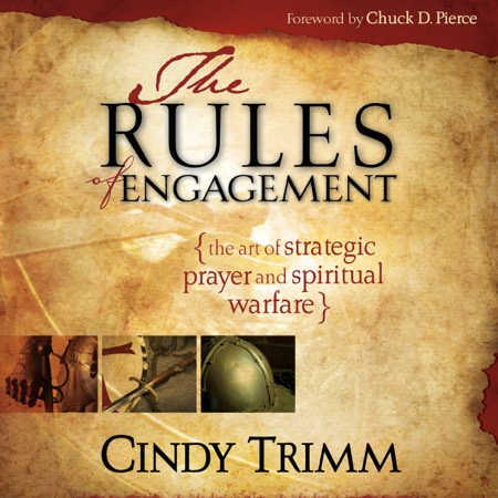 Rules of Engagement audiobook cover
