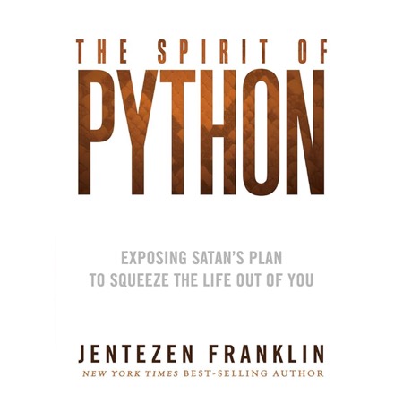 The Spirit of Python audiobook cover