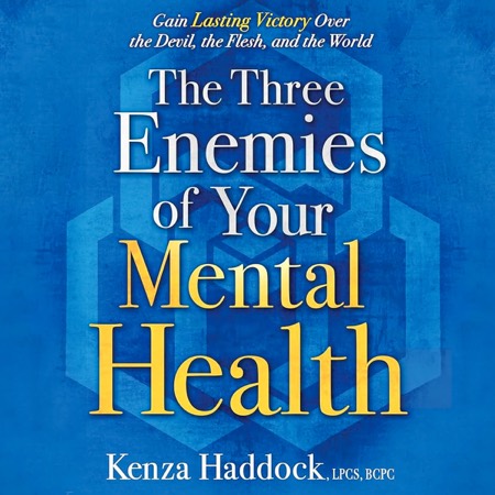 The Three Enemies of Your Mental Health audiobook cover